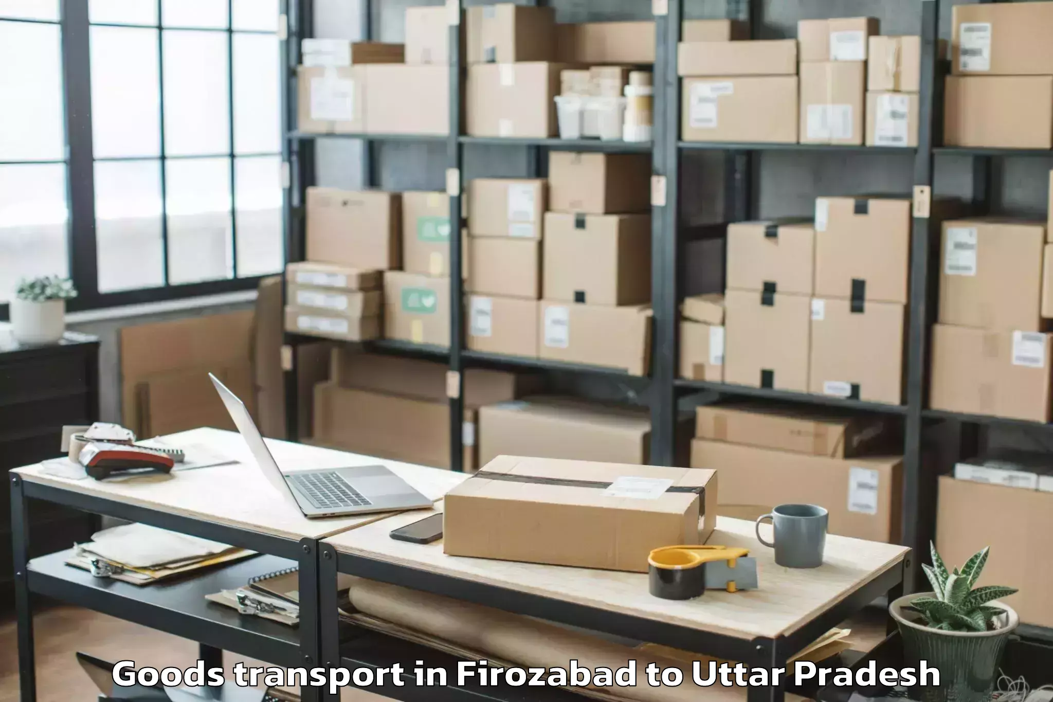 Professional Firozabad to Narauli Goods Transport